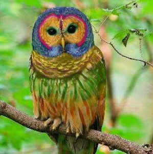 Meet your Posher, Horacio